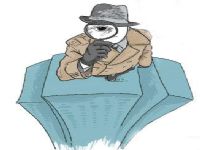 抚远市取证公司解说第三者承担离婚赔偿责任吗